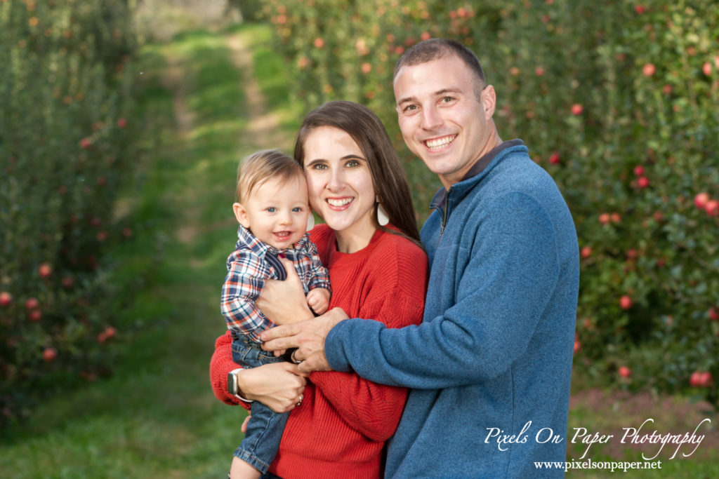 Pixels On Paper Photography Tevepaugh Six Month Apple Orchard Baby Portrait Photo