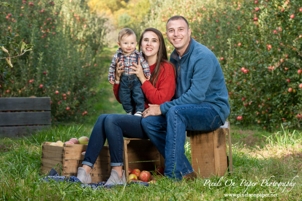 Pixels On Paper Photography Tevepaugh Six Month Apple Orchard Baby Portrait Photo