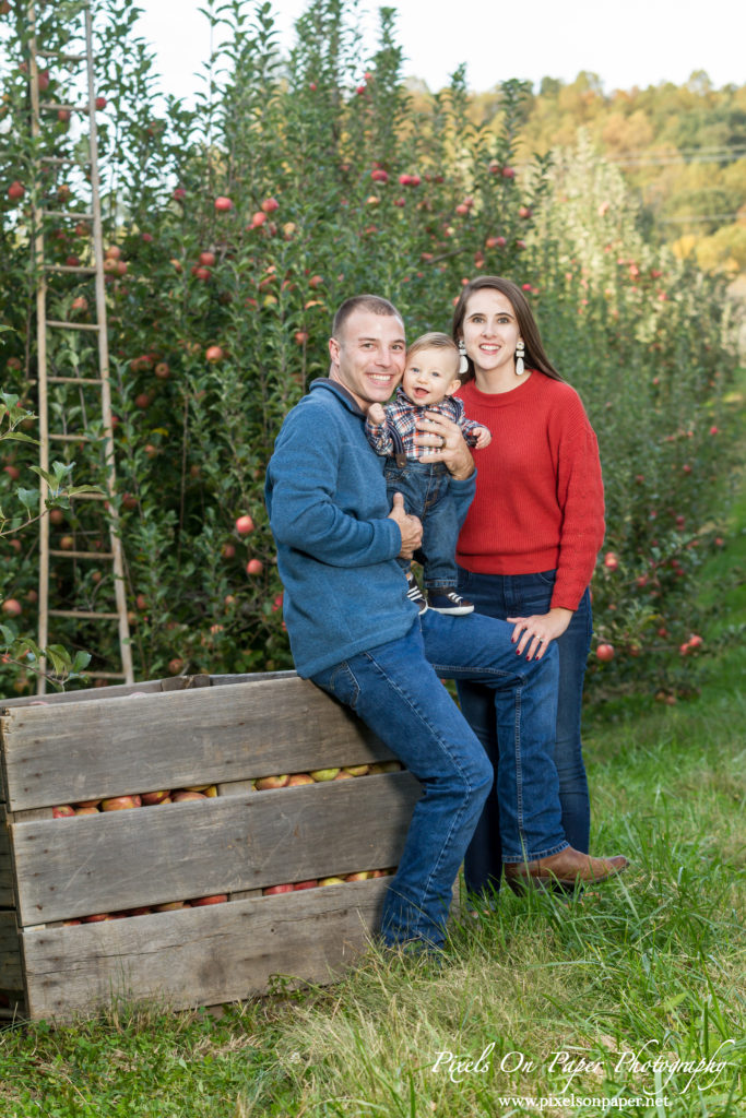 Pixels On Paper Photography Tevepaugh Six Month Apple Orchard Baby Portrait Photo