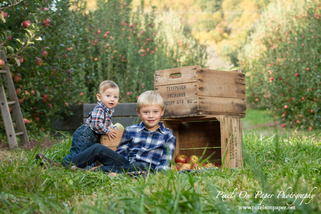 Pixels On Paper Photography Tevepaugh Six Month Apple Orchard Baby Portrait Photo