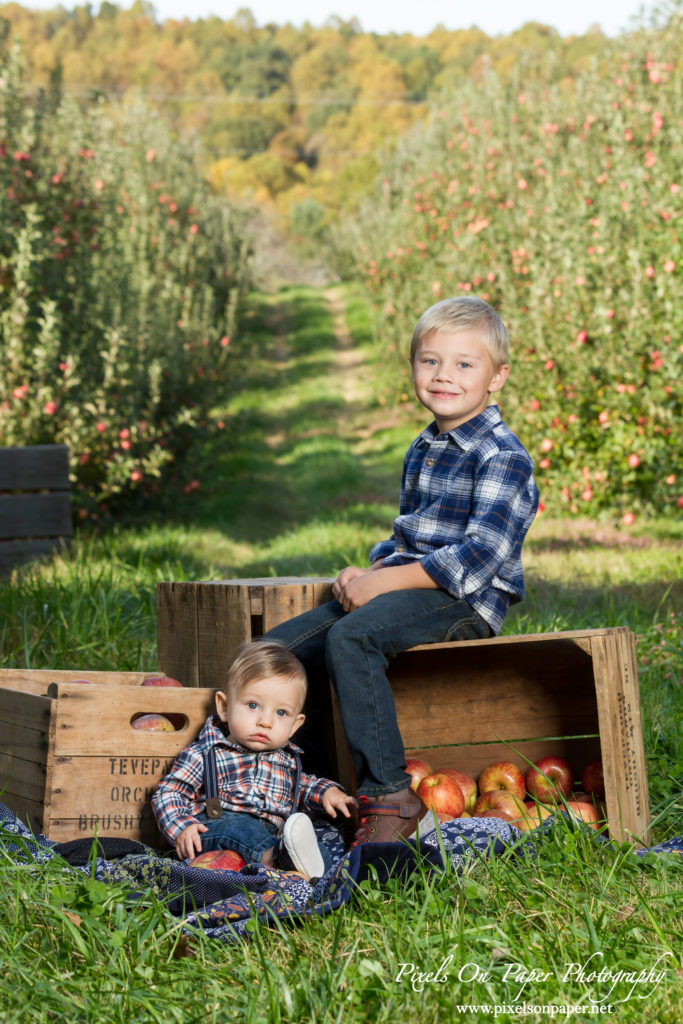 Pixels On Paper Photography Tevepaugh Six Month Apple Orchard Baby Portrait Photo