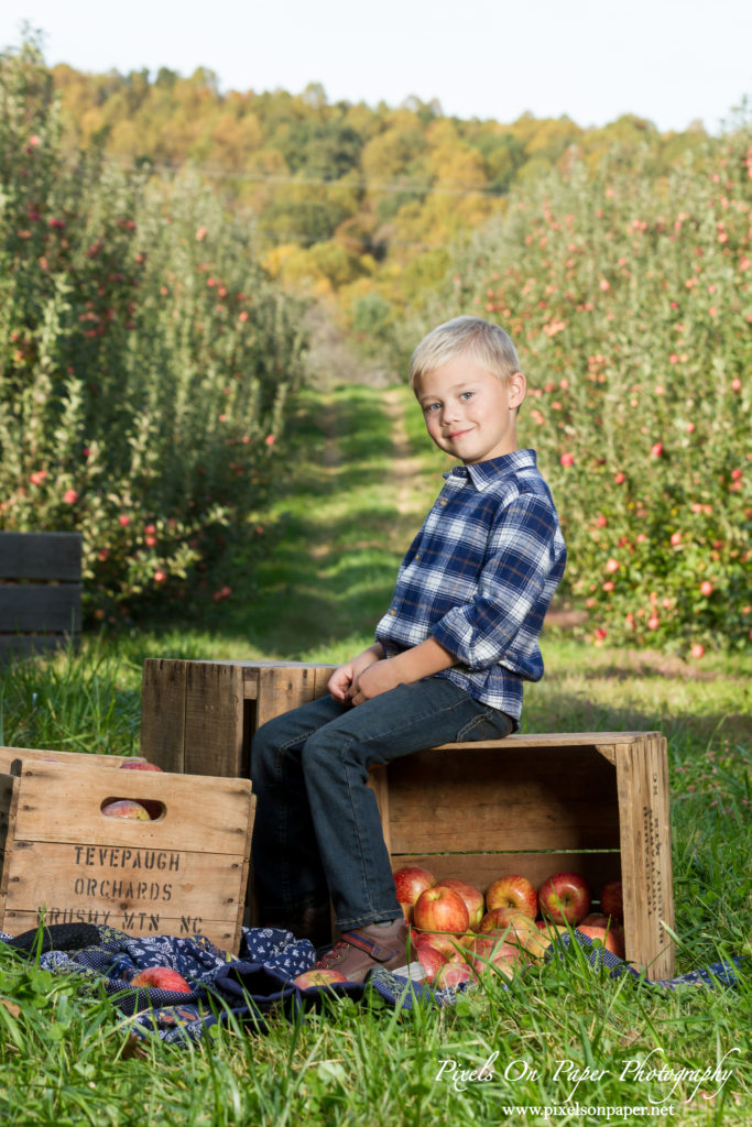 Pixels On Paper Photography Tevepaugh Six Month Apple Orchard Baby Portrait Photo