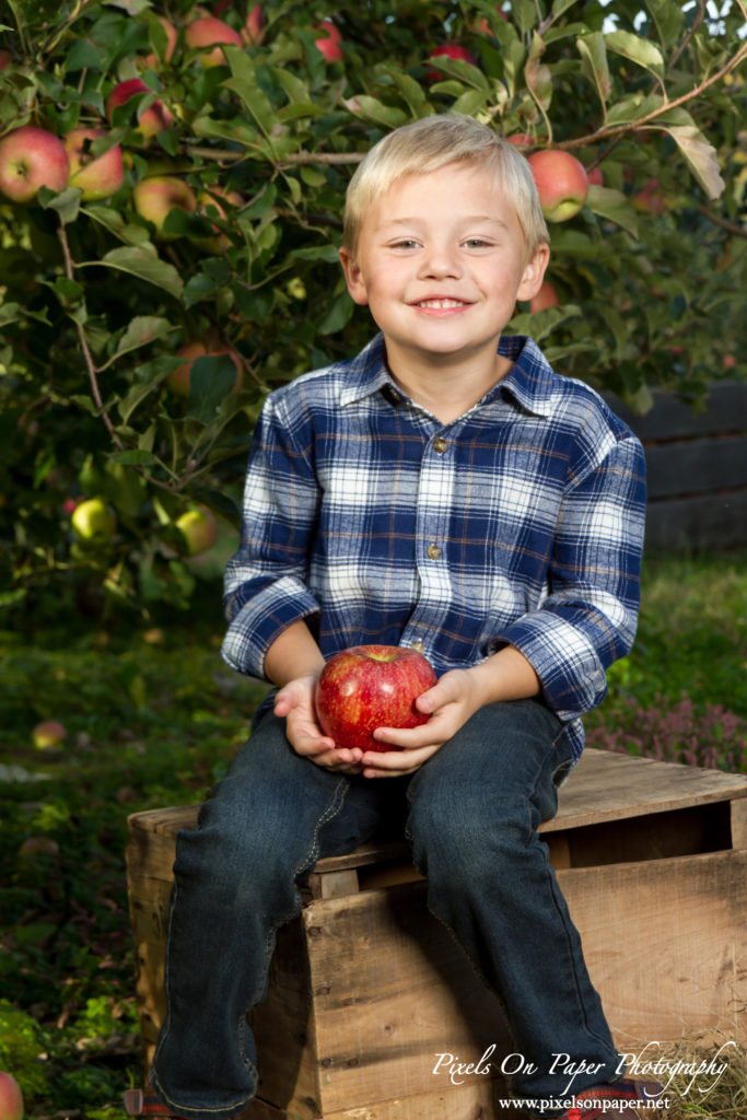 Pixels On Paper Photography Tevepaugh Six Month Apple Orchard Baby Portrait Photo