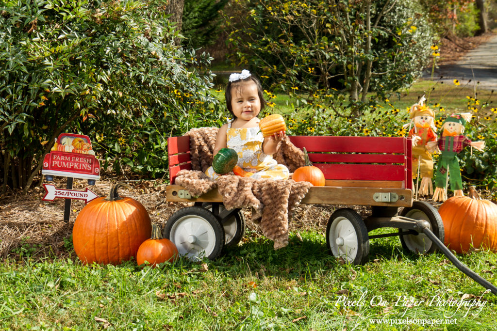 Pixels On Paper Photography Outdoor Fall One Year Baby Portrait Photo