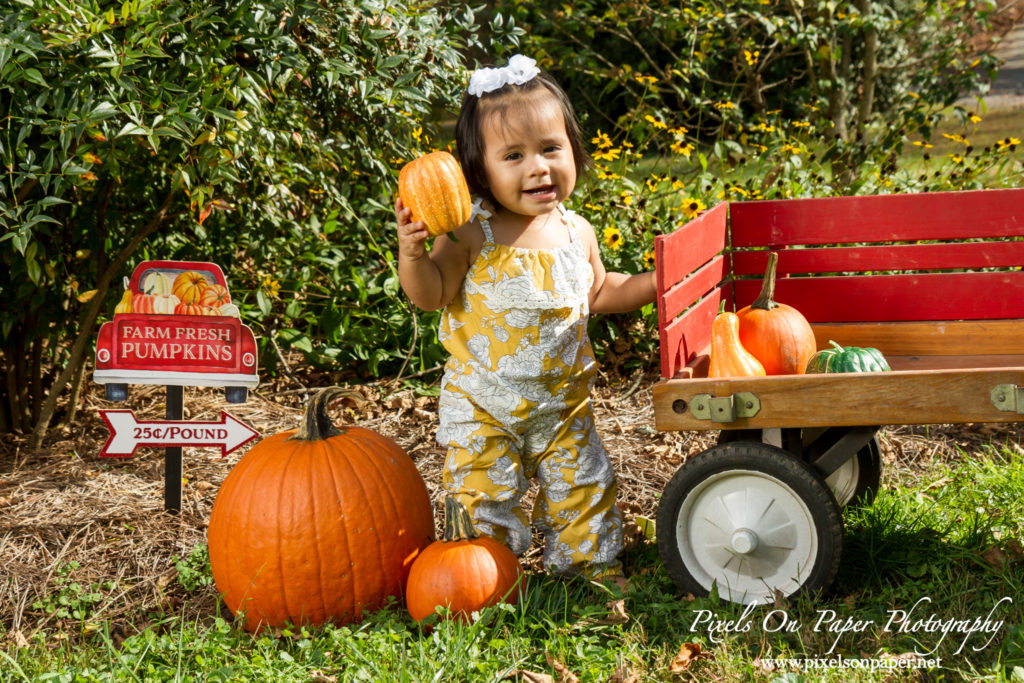 Pixels On Paper Photography Outdoor Fall One Year Baby Portrait Photo