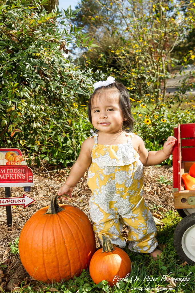 Pixels On Paper Photography Outdoor Fall One Year Baby Portrait Photo