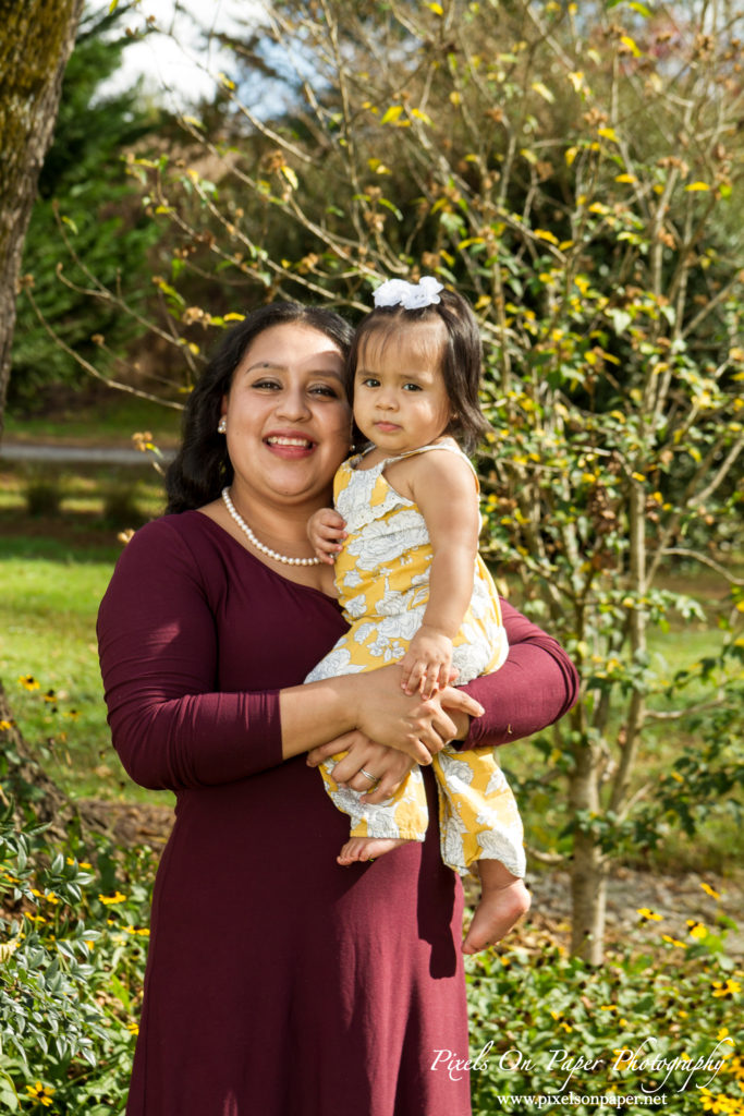 Pixels On Paper Photography Outdoor Fall One Year Baby Portrait Photo