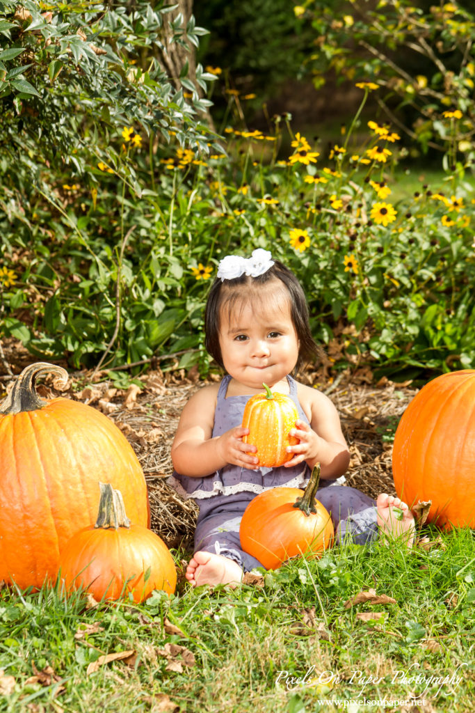 Pixels On Paper Photography Outdoor Fall One Year Baby Portrait Photo