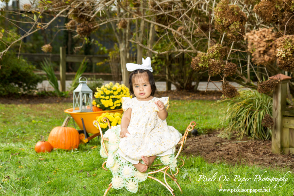 Pixels On Paper Photography Outdoor Fall One Year Baby Portrait Photo