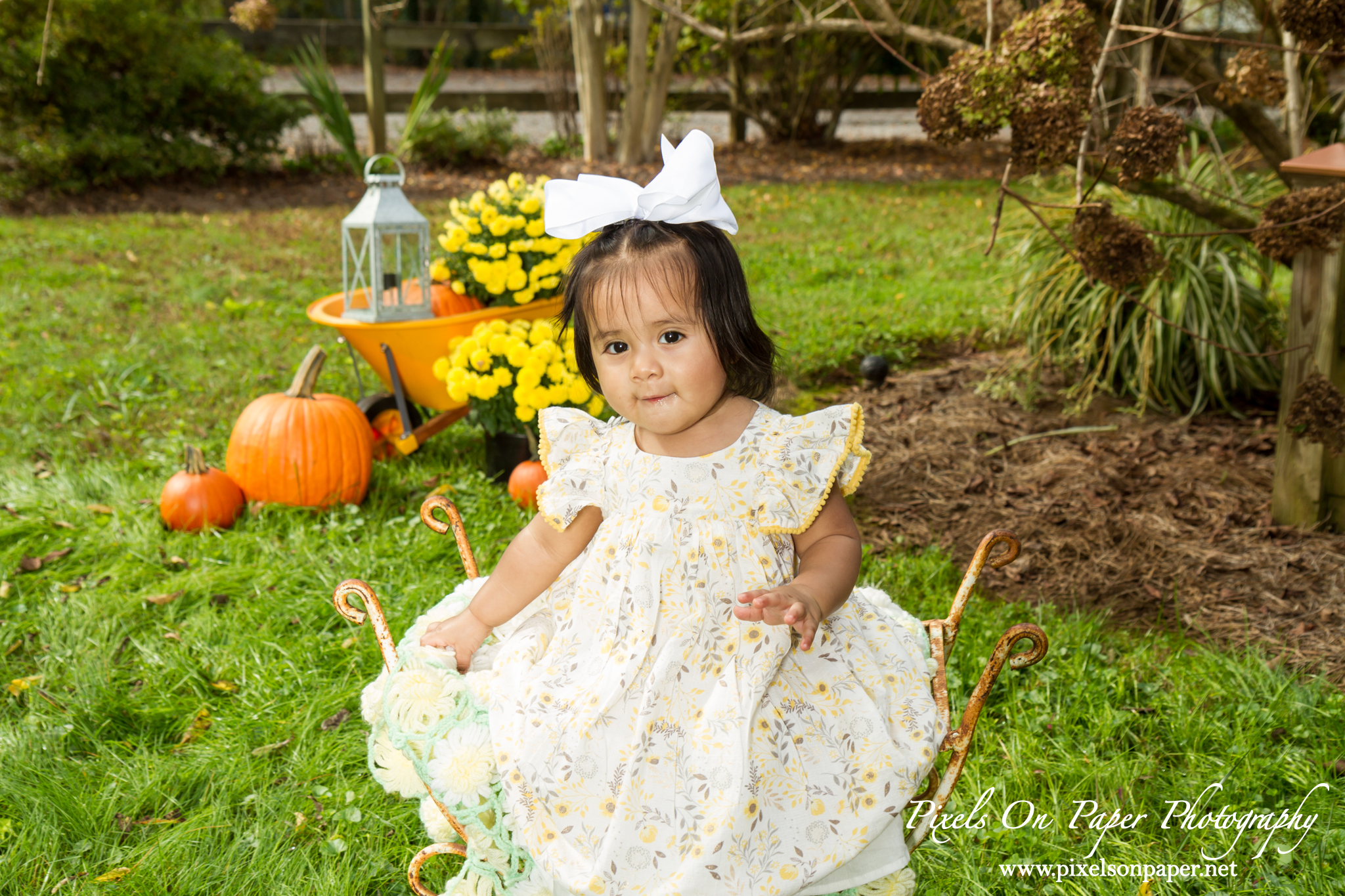 Pixels On Paper Photography Outdoor Fall One Year Baby Portrait Photo