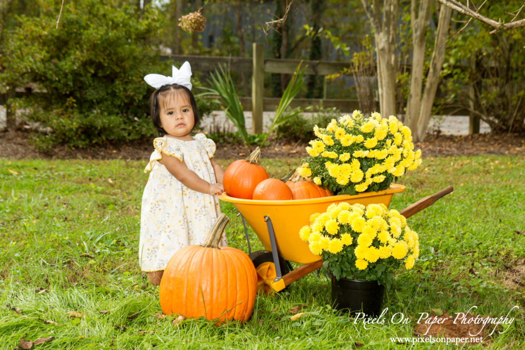 Pixels On Paper Photography Outdoor Fall One Year Baby Portrait Photo