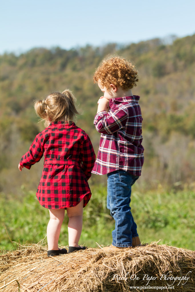 Pixels On Paper NC Mountain Photographers Senter family outdoor family portrait photo