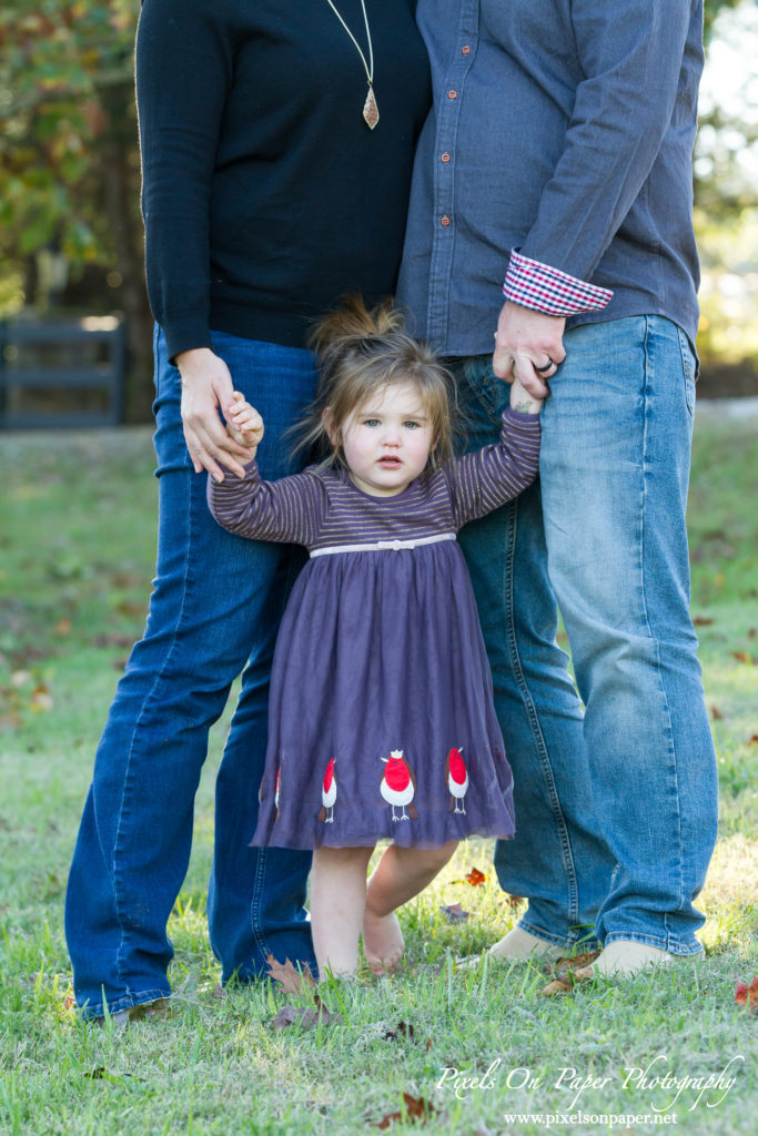 Pixels On Paper NC Mountain Photographers Senter family outdoor family portrait photo