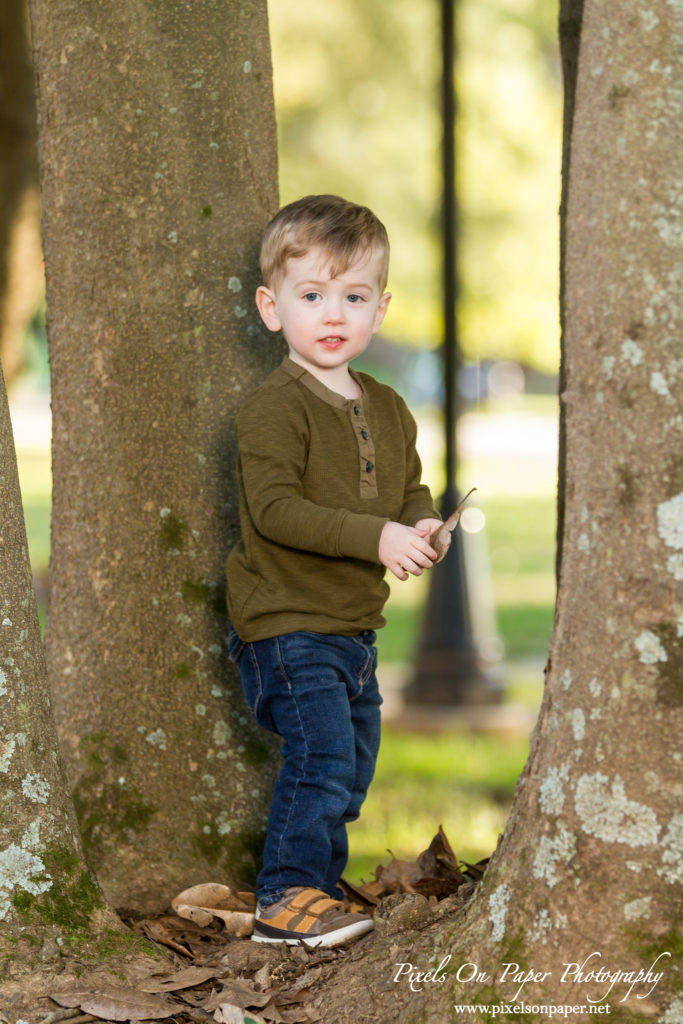 Pixels On Paper Portrait Photographers Arnold Family Outdoor Fall Portrait Photo