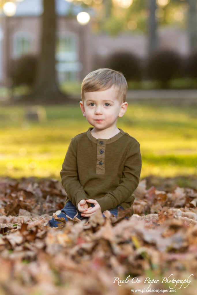 Pixels On Paper Portrait Photographers Arnold Family Outdoor Fall Portrait Photo