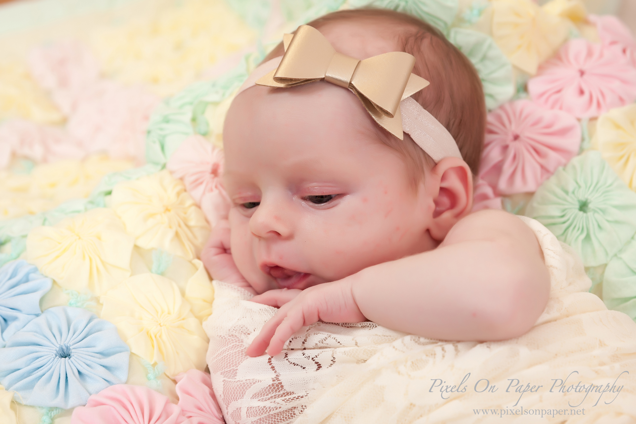 Driver family newborn baby portrait photos Wilkesboro NC