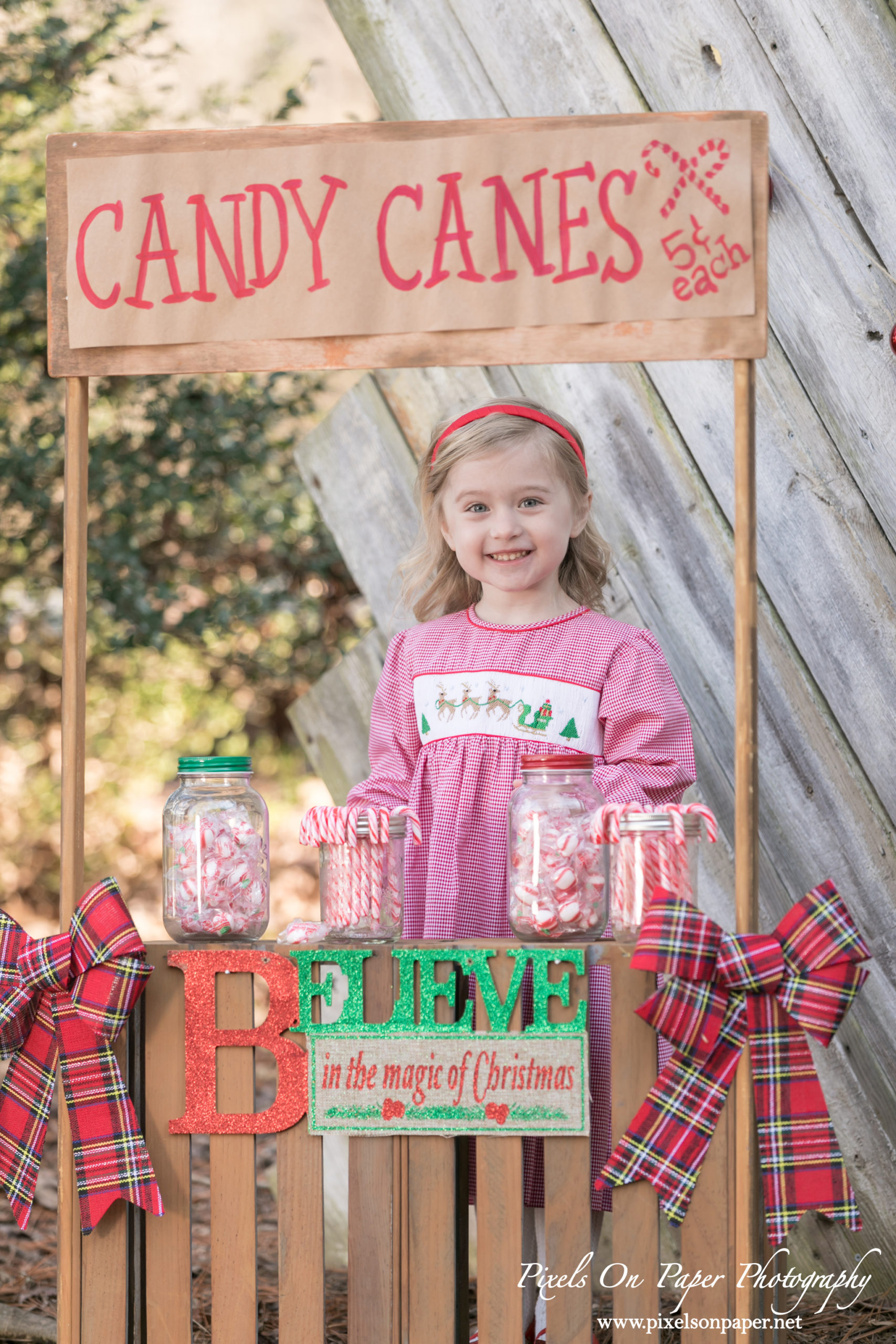 Wilkesboro NC Photographers Pixels On Paper 2020 Parsons Family Christmas Photo