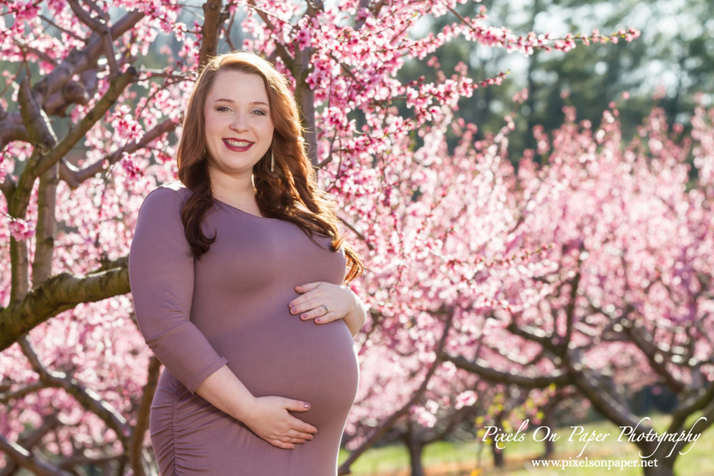 Pixels On Paper Wilkesboro nc photographers Tibbett family outdoor peach orchard maternity portrait photo