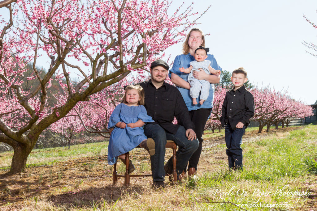 Pixels On Paper Photographers Holbrook Outdoor Family Portrait Photography Peach Orchard Photo