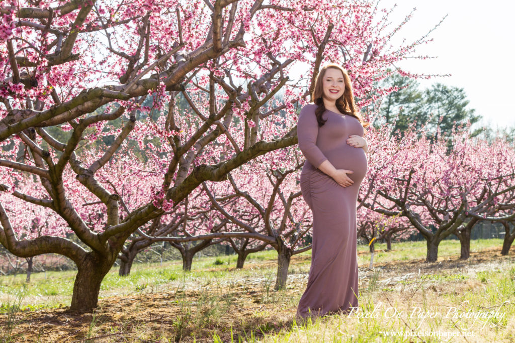 Pixels On Paper Wilkesboro nc photographers Tibbett family outdoor peach orchard maternity portrait photo