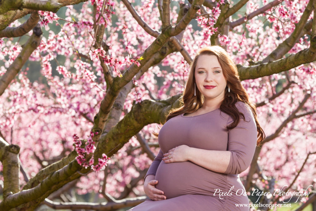 Pixels On Paper Wilkesboro nc photographers Tibbett family outdoor peach orchard maternity portrait photo