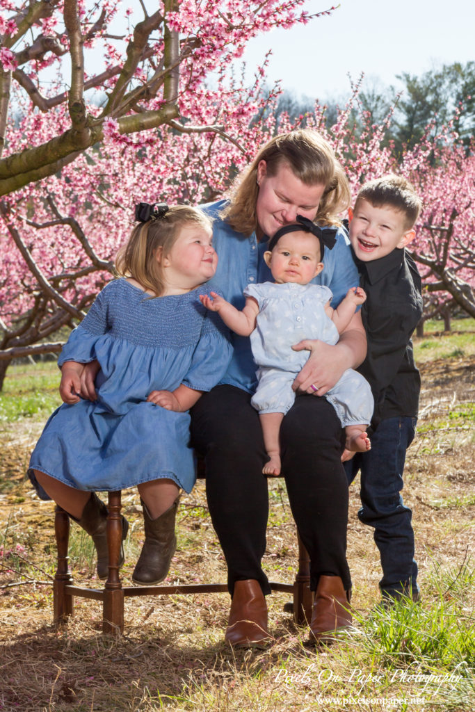 Pixels On Paper Photographers Holbrook Outdoor Family Portrait Photography Peach Orchard Photo