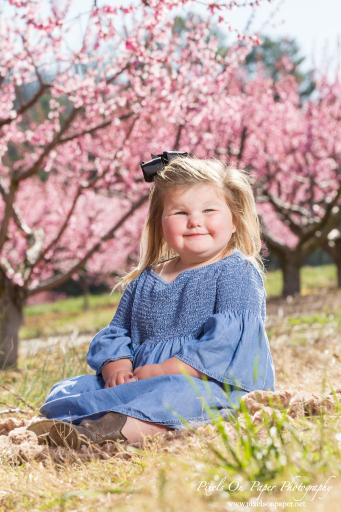 Pixels On Paper Photographers Holbrook Outdoor Family Portrait Photography Peach Orchard Photo