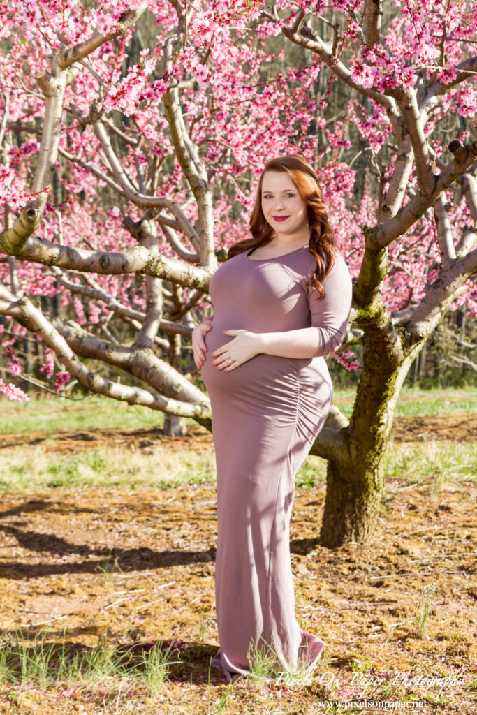 Pixels On Paper Wilkesboro nc photographers Tibbett family outdoor peach orchard maternity portrait photo