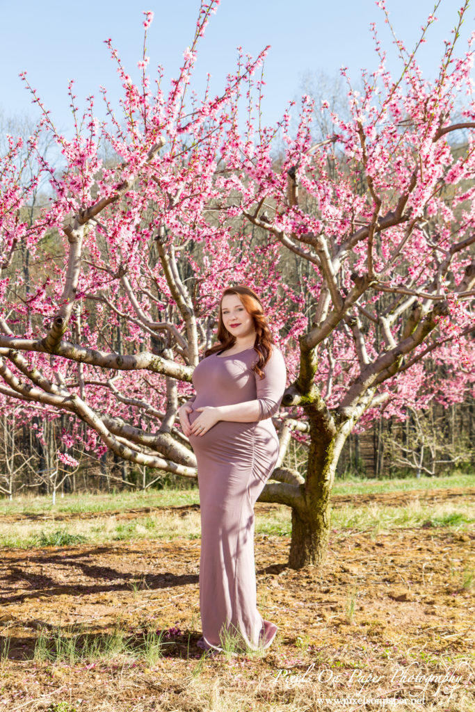 Pixels On Paper Wilkesboro nc photographers Tibbett family outdoor peach orchard maternity portrait photo