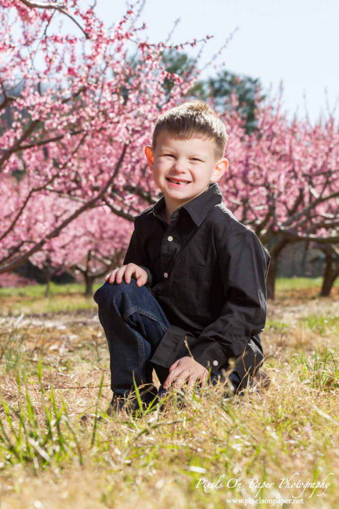 Pixels On Paper Photographers Holbrook Outdoor Family Portrait Photography Peach Orchard Photo