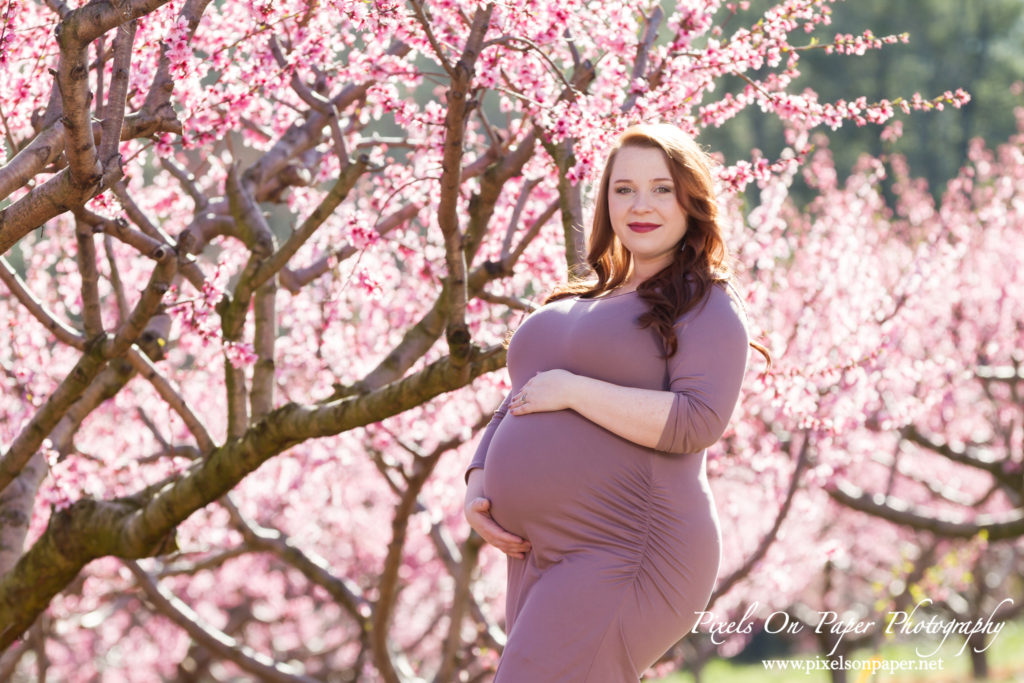 Pixels On Paper Wilkesboro nc photographers Tibbett family outdoor peach orchard maternity portrait photo