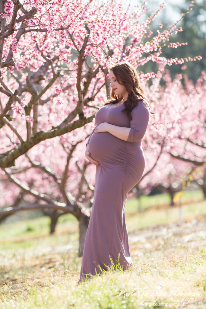 Pixels On Paper Wilkesboro nc photographers Tibbett family outdoor peach orchard maternity portrait photo