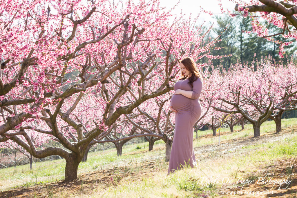 Pixels On Paper Wilkesboro nc photographers Tibbett family outdoor peach orchard maternity portrait photo