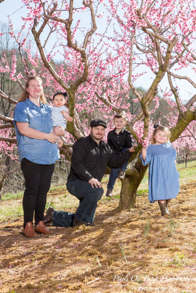 Pixels On Paper Photographers Holbrook Outdoor Family Portrait Photography Peach Orchard Photo