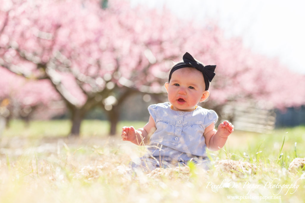 Pixels On Paper Photographers Holbrook Outdoor Family Portrait Photography Peach Orchard Photo