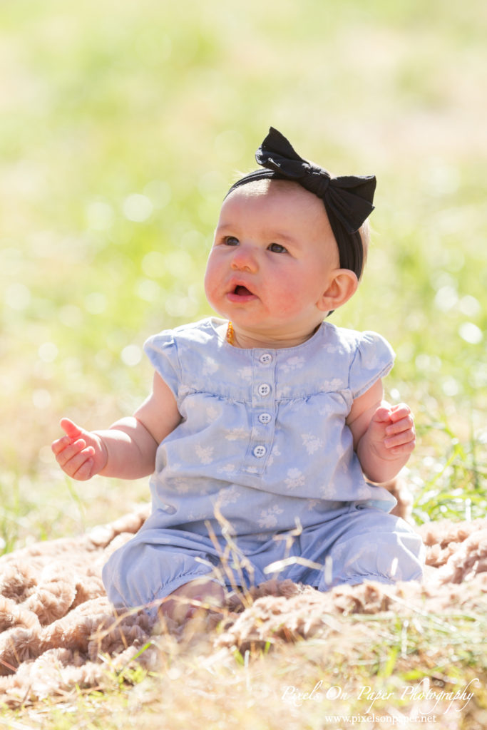 Pixels On Paper Photographers Holbrook Outdoor Family Portrait Photography Peach Orchard Photo