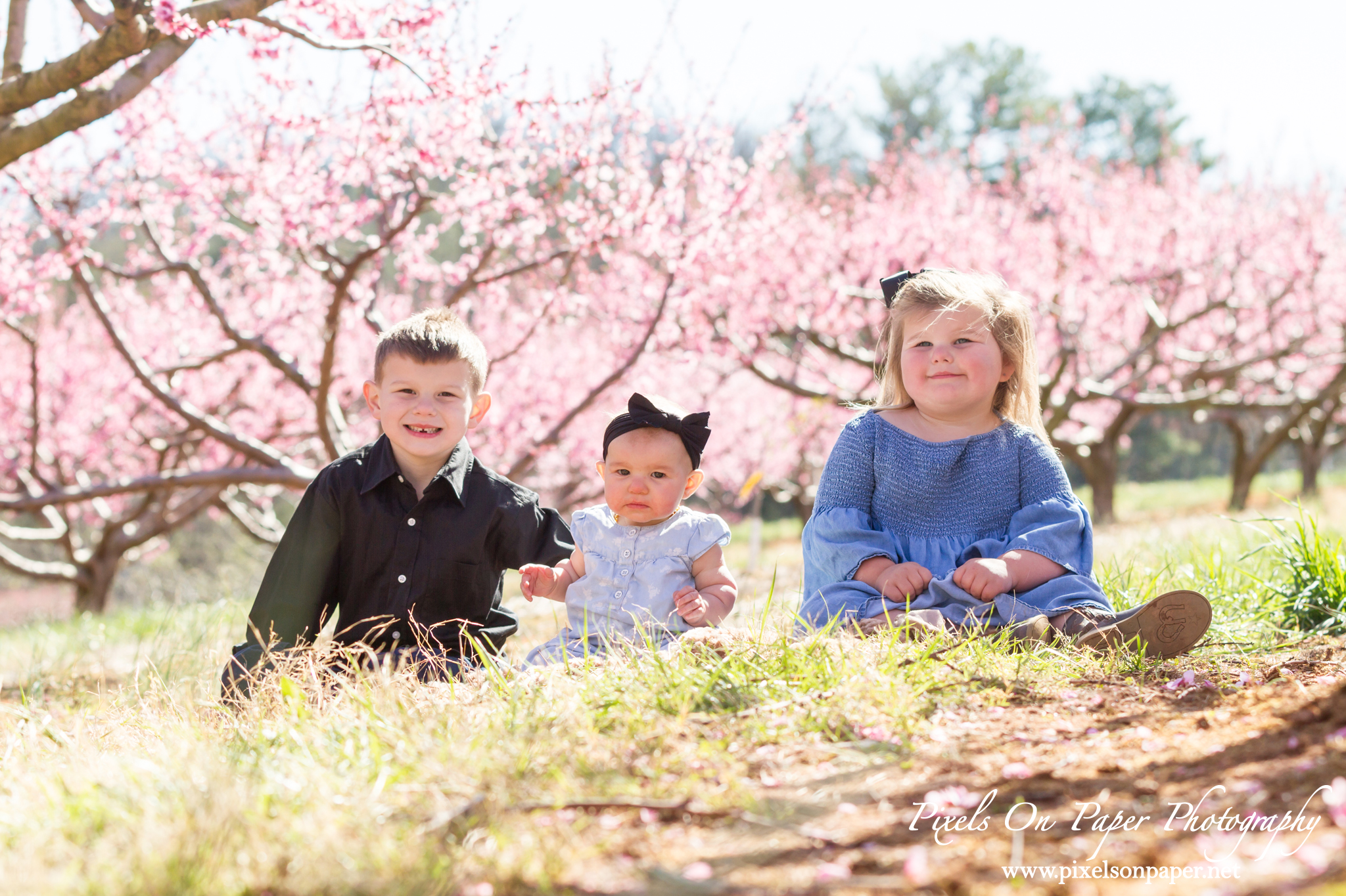 Pixels On Paper Photographers Holbrook Outdoor Family Portrait Photography Peach Orchard Photo