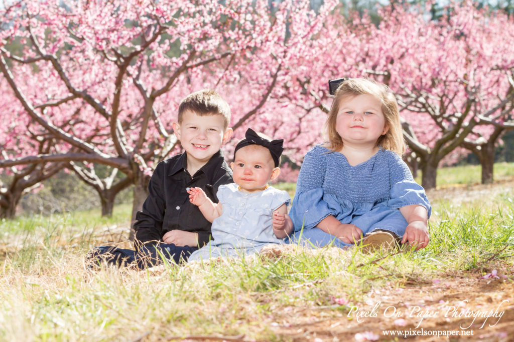 Pixels On Paper Photographers Holbrook Outdoor Family Portrait Photography Peach Orchard Photo