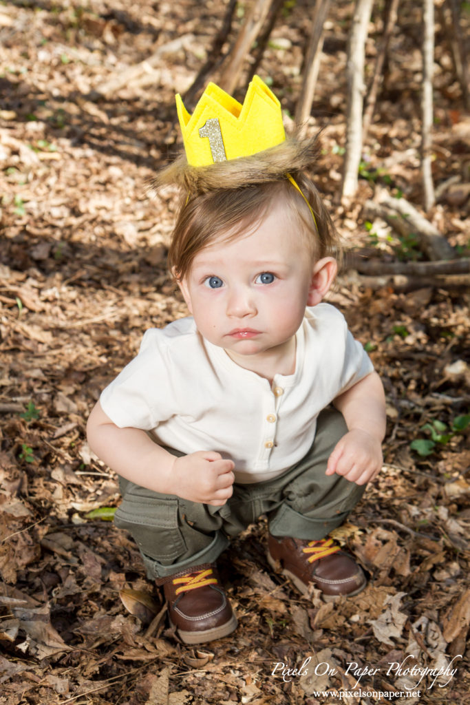 Pixels On Paper Photography Tevepaugh Baby Outdoor Wild Thing One Year Portrait Photo