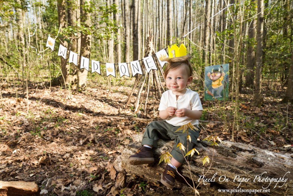 Pixels On Paper Photography Tevepaugh Baby Outdoor Wild Thing One Year Portrait Photo