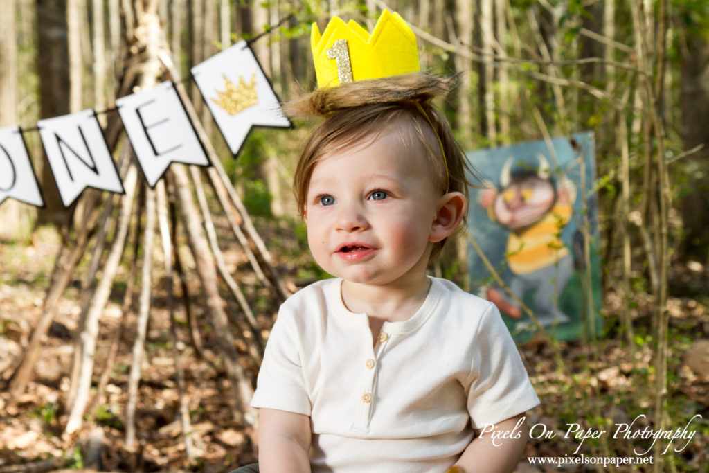 Pixels On Paper Photography Tevepaugh Baby Outdoor Wild Thing One Year Portrait Photo