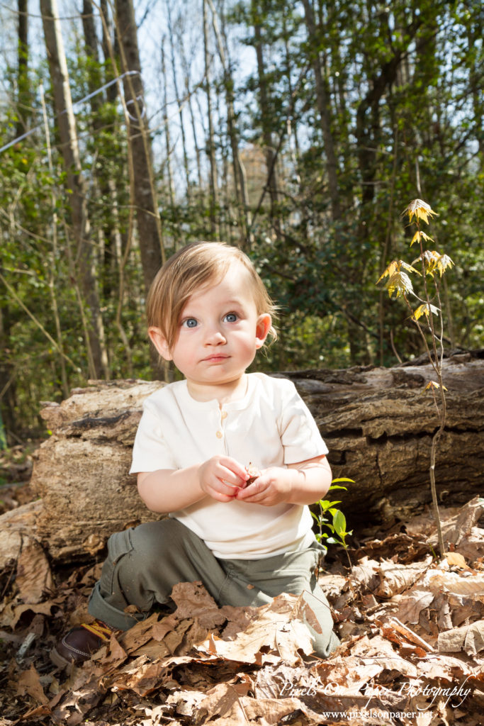 Pixels On Paper Photography Tevepaugh Baby Outdoor Wild Thing One Year Portrait Photo