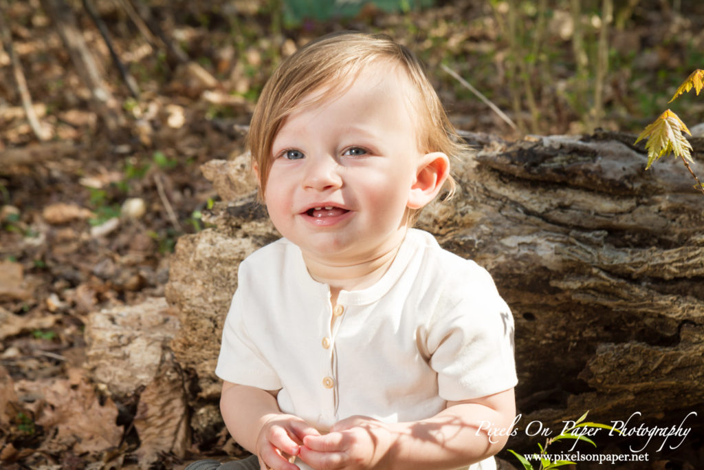 Pixels On Paper Photography Tevepaugh Baby Outdoor Wild Thing One Year Portrait Photo