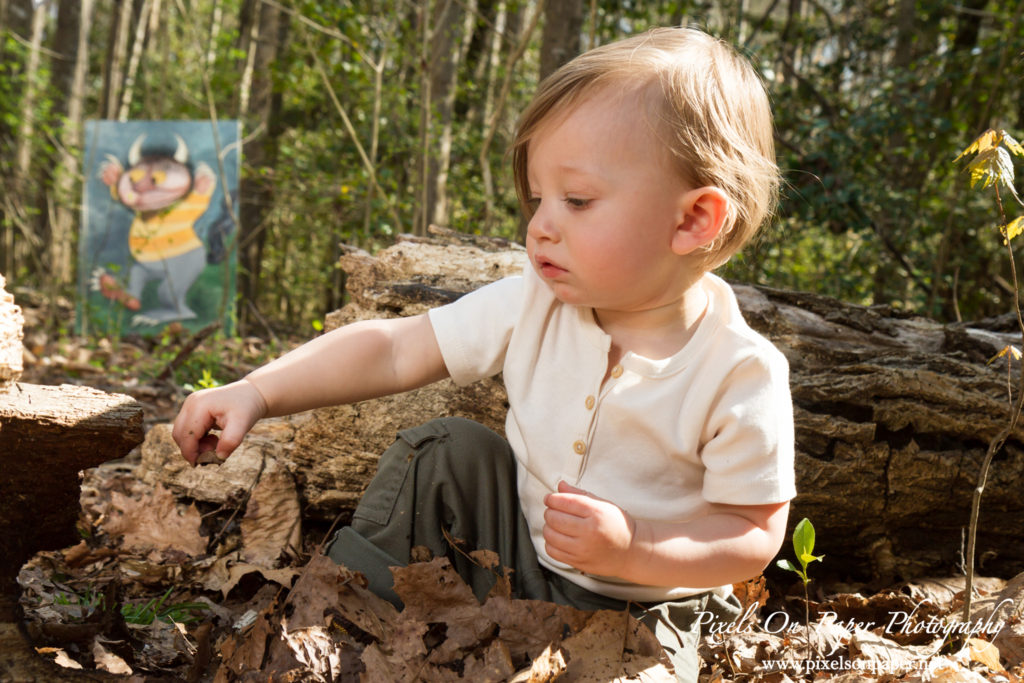 Pixels On Paper Photography Tevepaugh Baby Outdoor Wild Thing One Year Portrait Photo