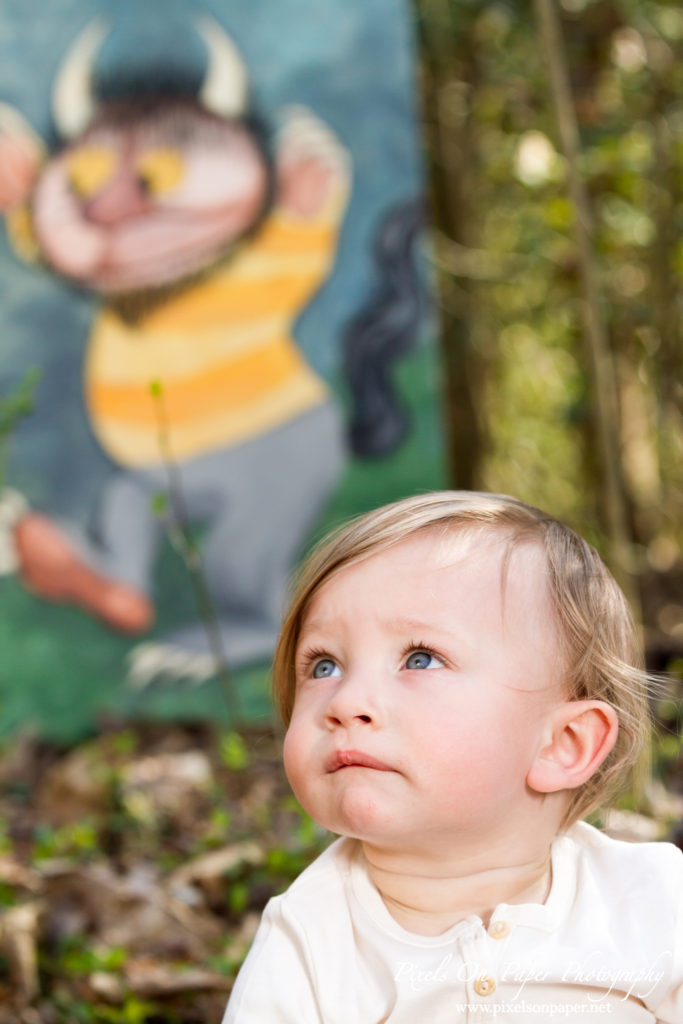 Pixels On Paper Photography Tevepaugh Baby Outdoor Wild Thing One Year Portrait Photo