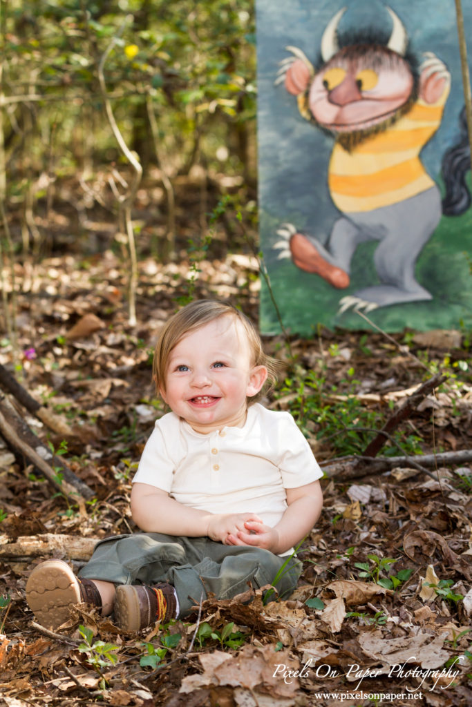 Pixels On Paper Photography Tevepaugh Baby Outdoor Wild Thing One Year Portrait Photo