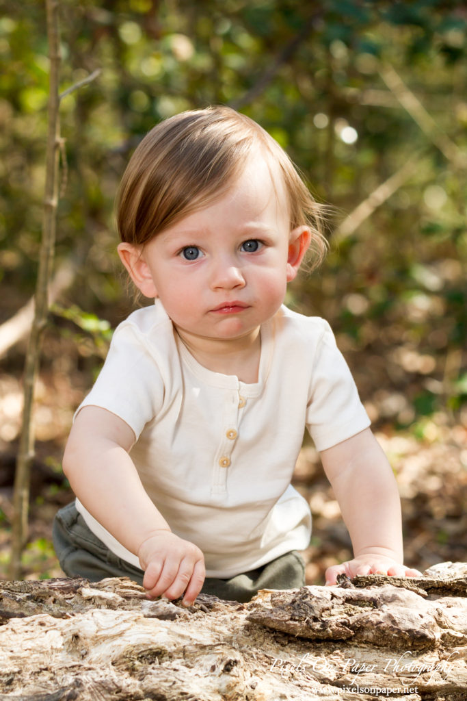 Pixels On Paper Photography Tevepaugh Baby Outdoor Wild Thing One Year Portrait Photo