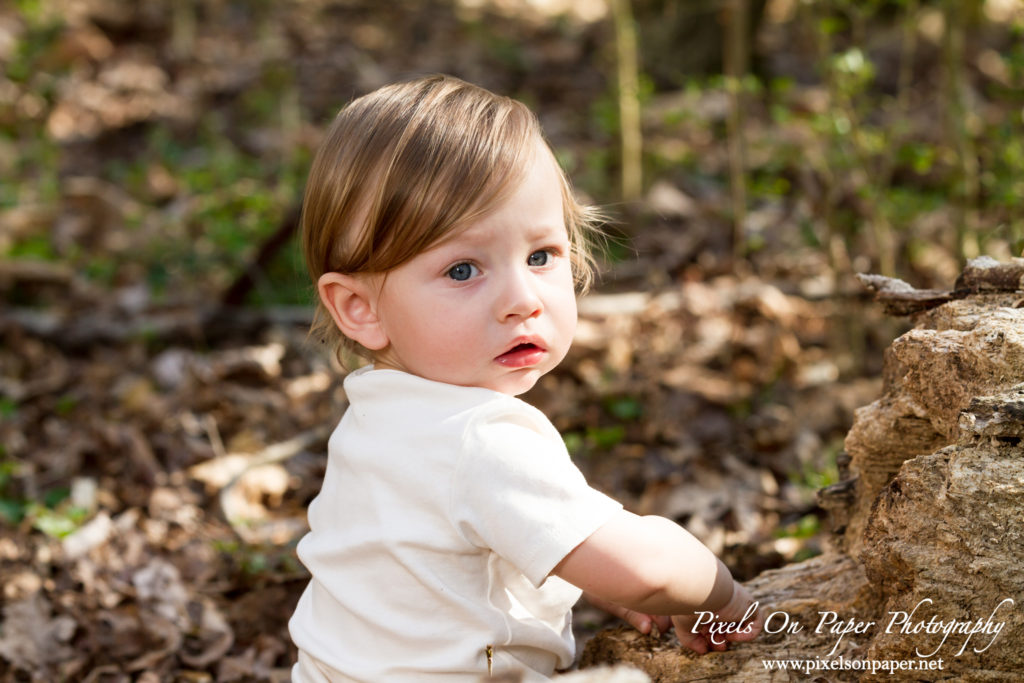 Pixels On Paper Photography Tevepaugh Baby Outdoor Wild Thing One Year Portrait Photo