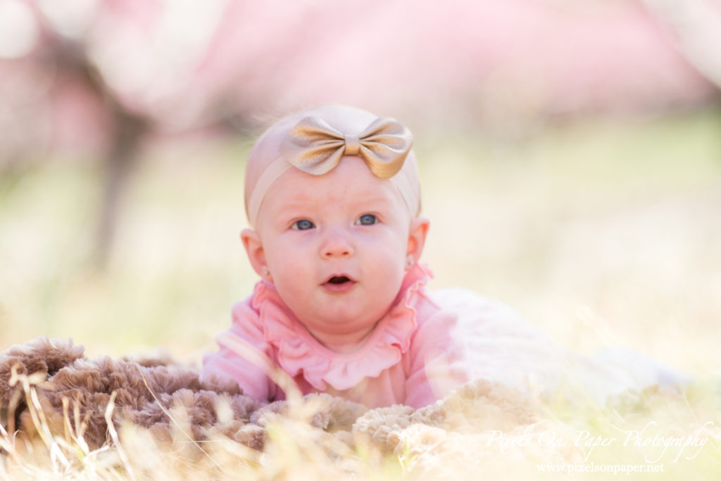 Triplett Family Six Month Baby outdoor peach orchard portrait photo