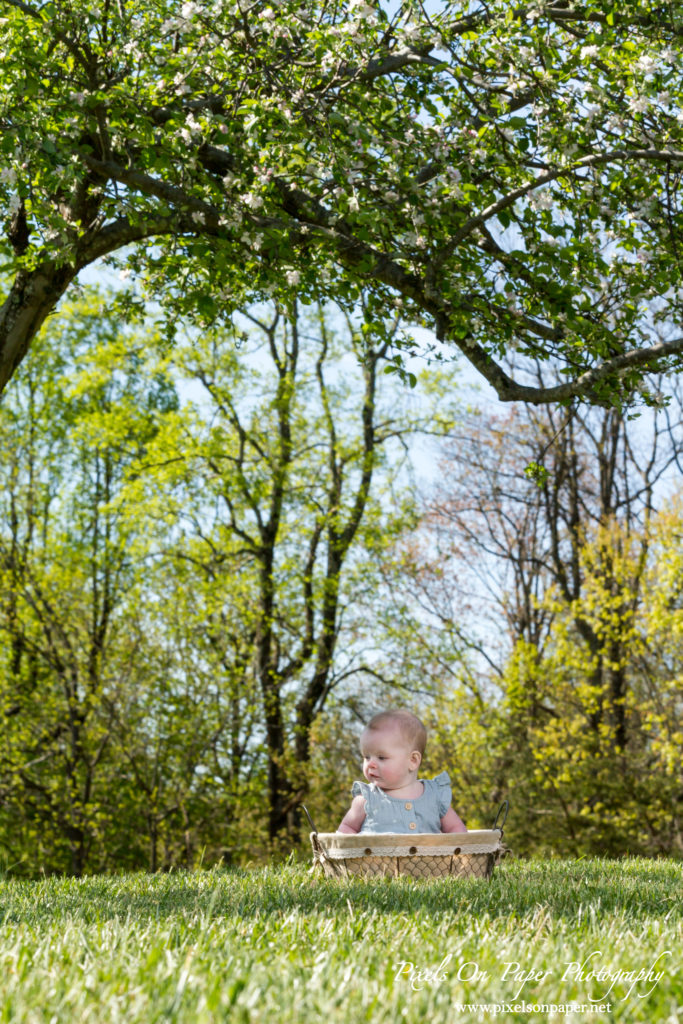 Driver family outdoor six month baby portrait wilkesboro nc photography photo